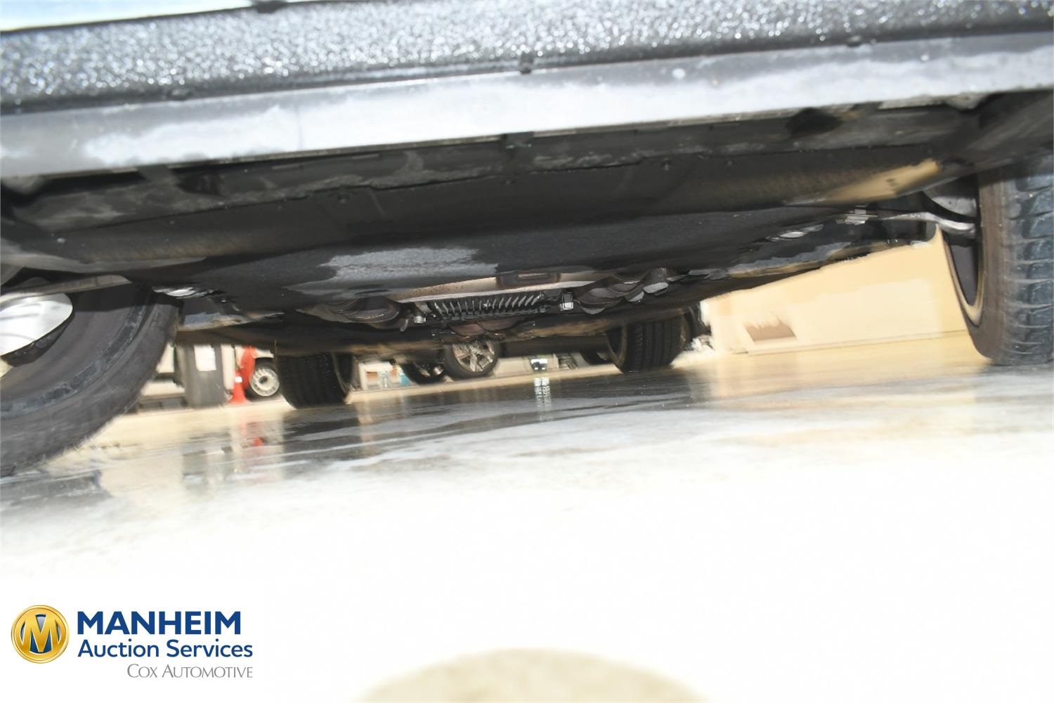 Foto BMW X3 M (F97) 26