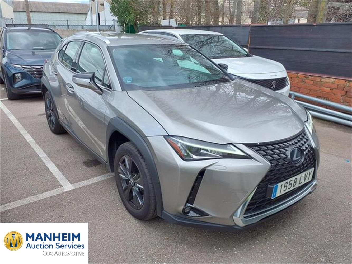 Foto Lexus  5