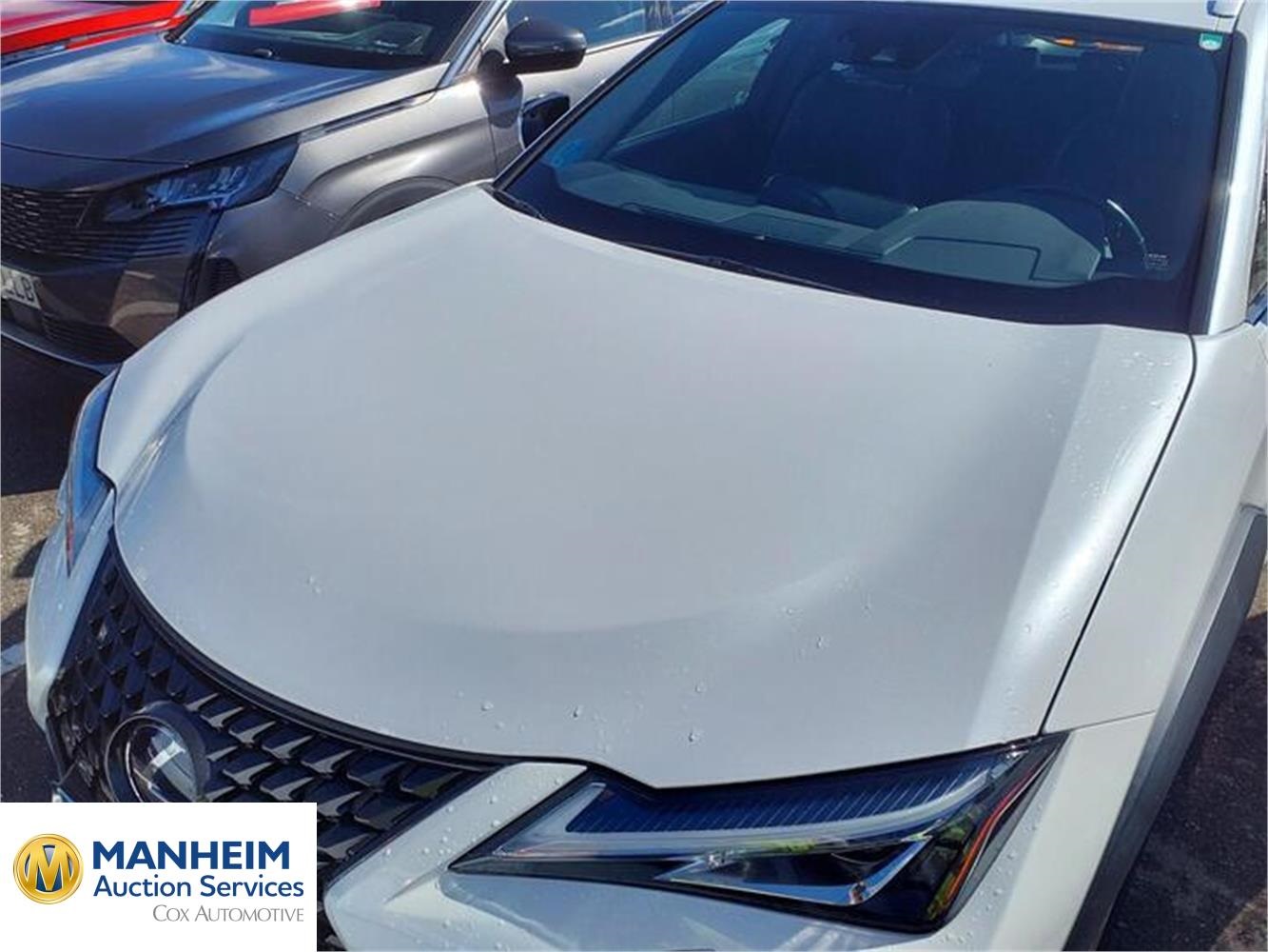 Foto Lexus  39