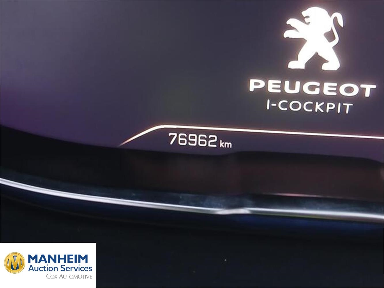 Foto Peugeot 3008 50