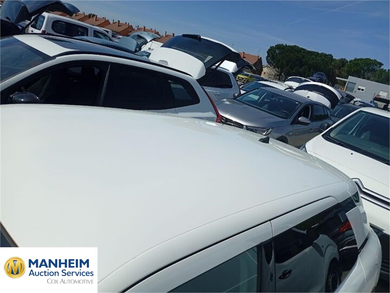 Foto Citroën C4 Cactus 12