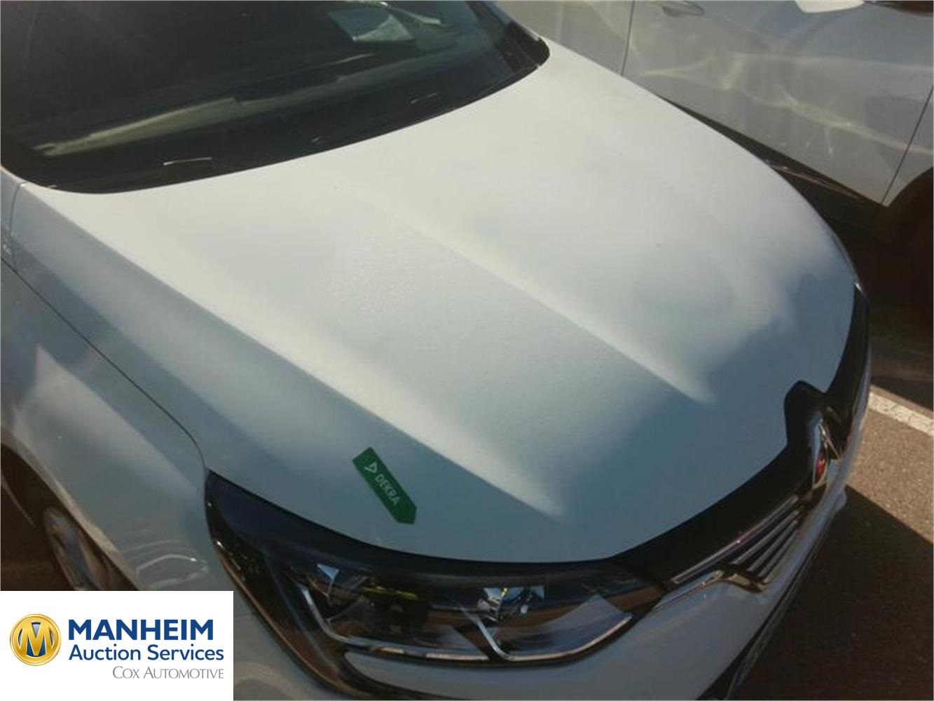 Foto Renault Megane 44