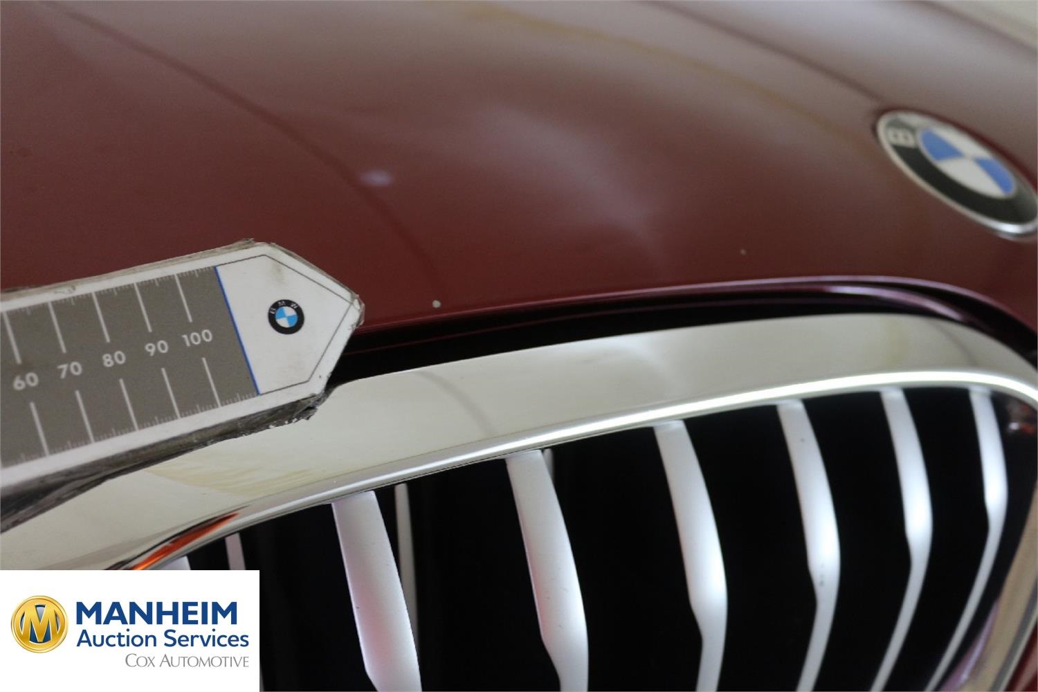 Foto BMW X4 xDrive20d (G02) 47