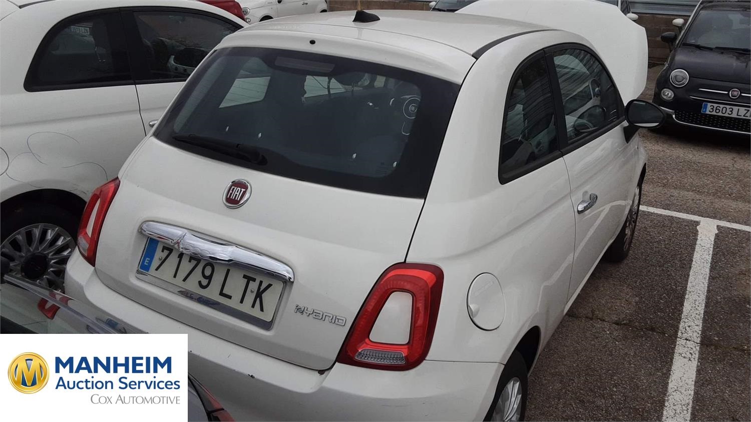 Foto Fiat 500 15