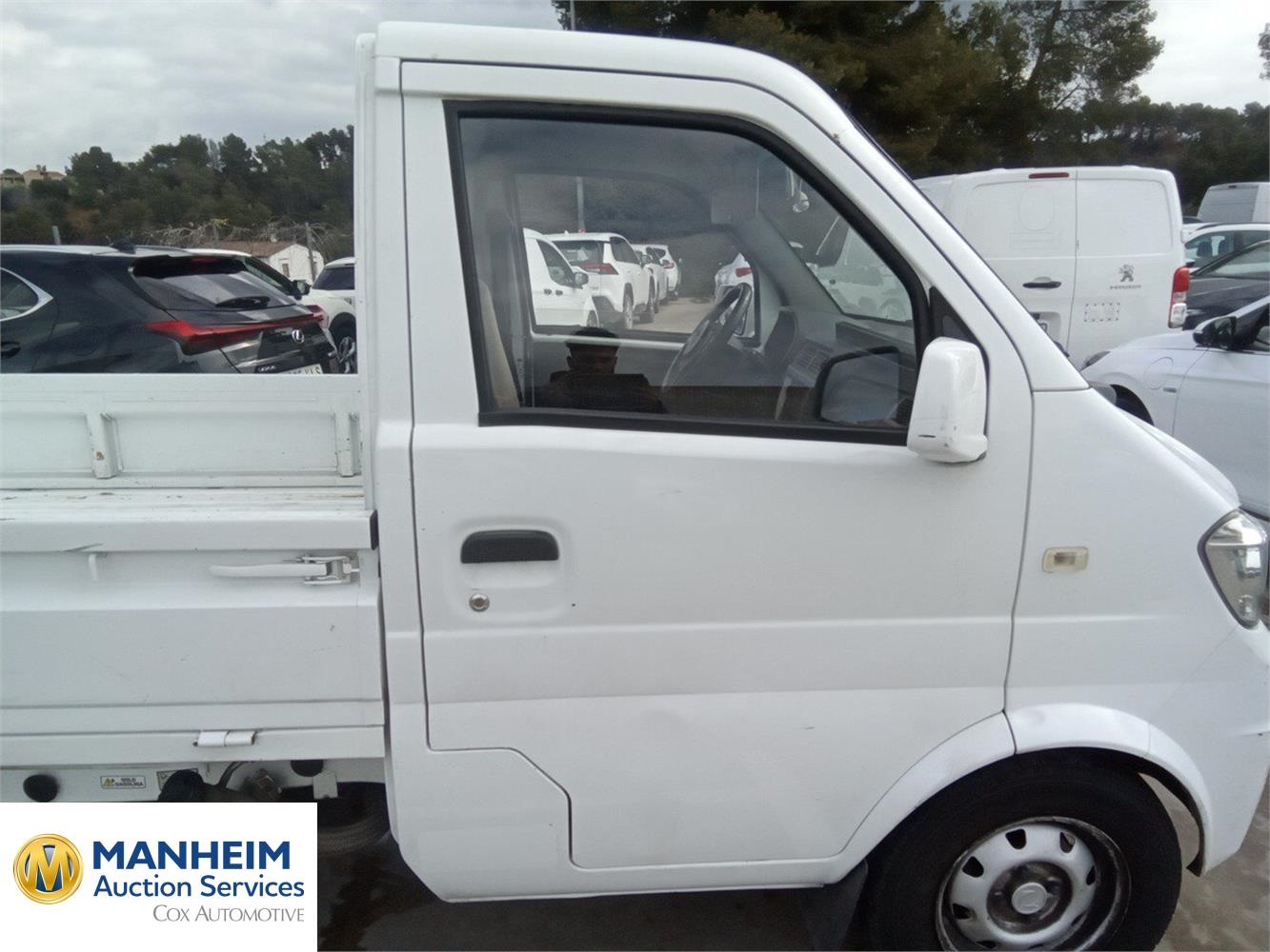Foto DFSK SERIES K 36