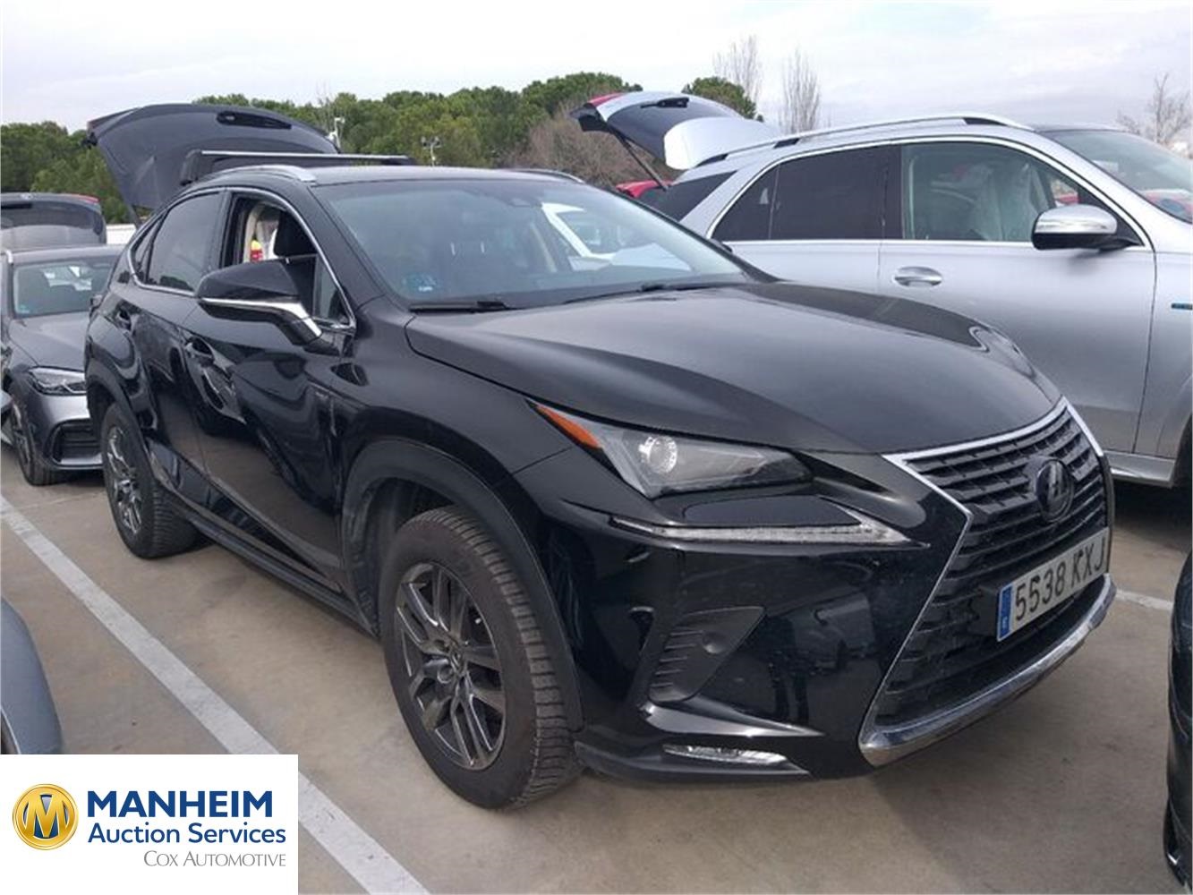 Foto Lexus NX 8