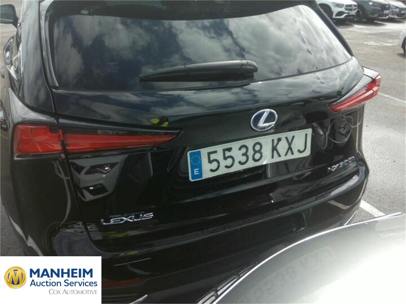 Foto Lexus NX 29