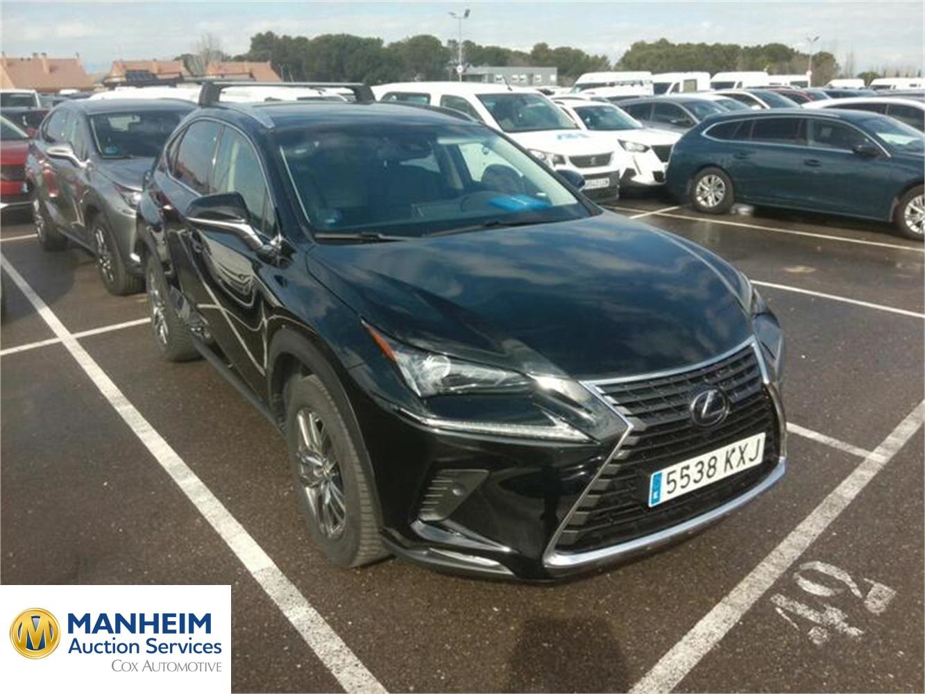 Foto Lexus NX 40