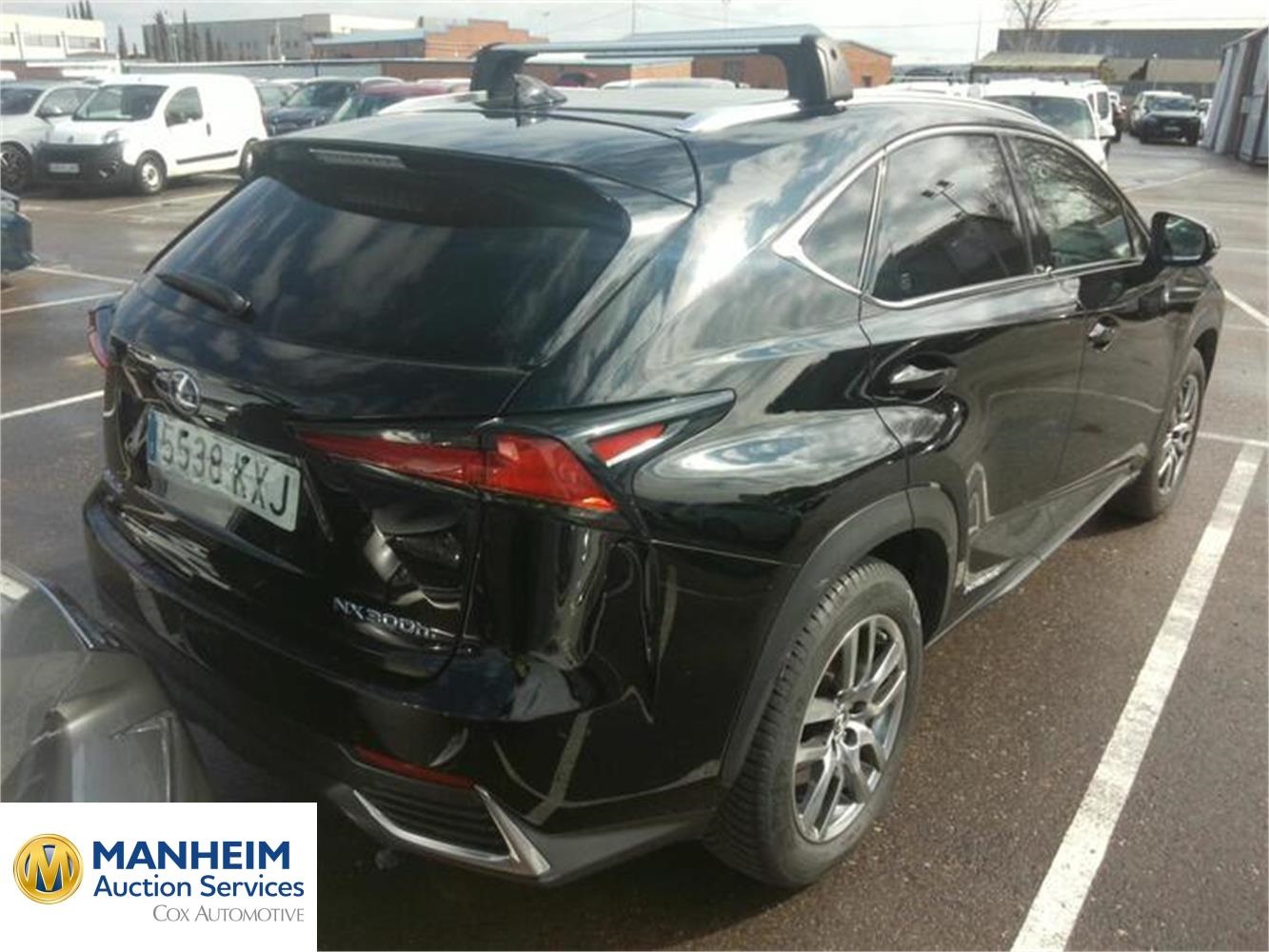 Foto Lexus NX 46