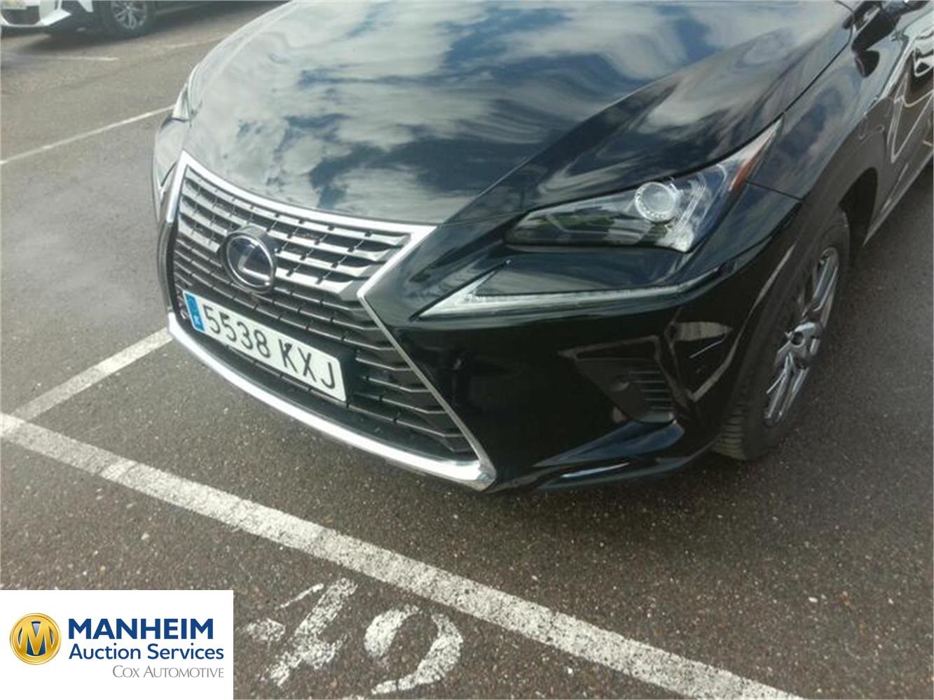 Foto Lexus NX 48