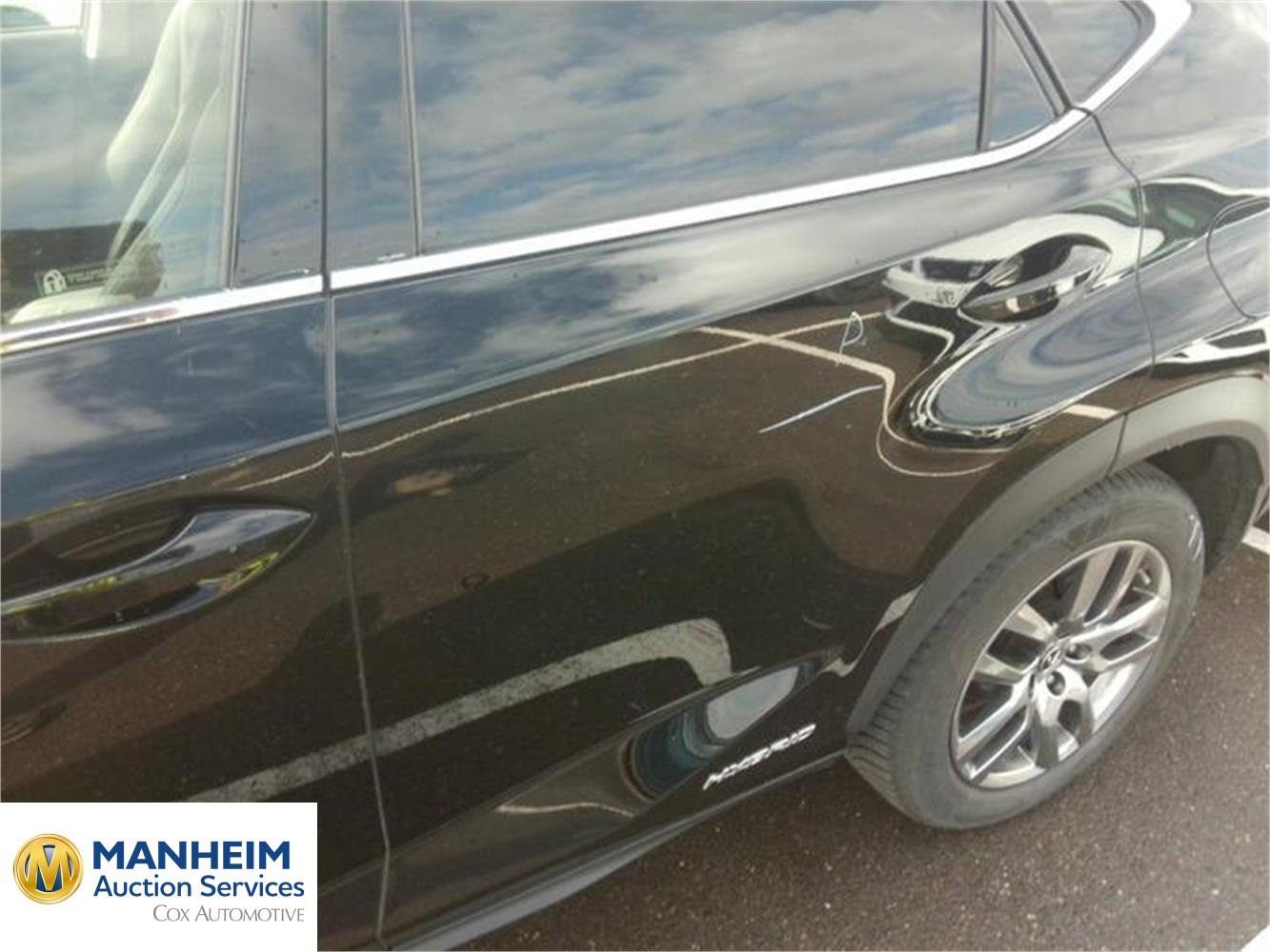 Foto Lexus NX 51