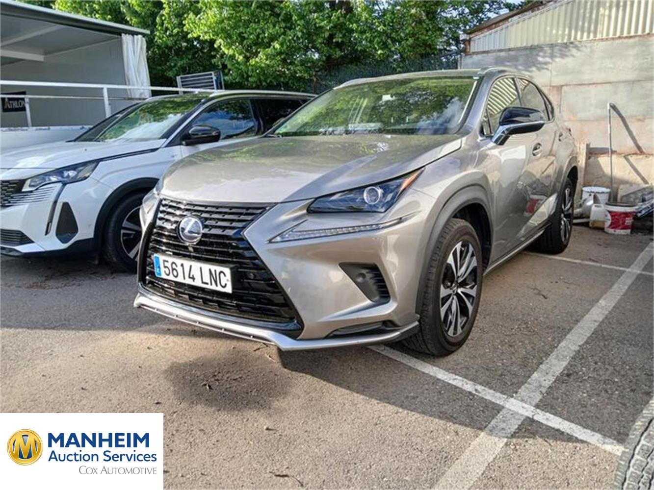 Lexus NX 