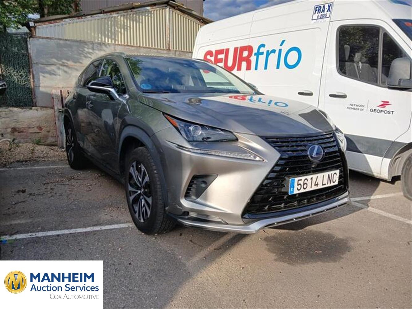 Foto Lexus NX 17