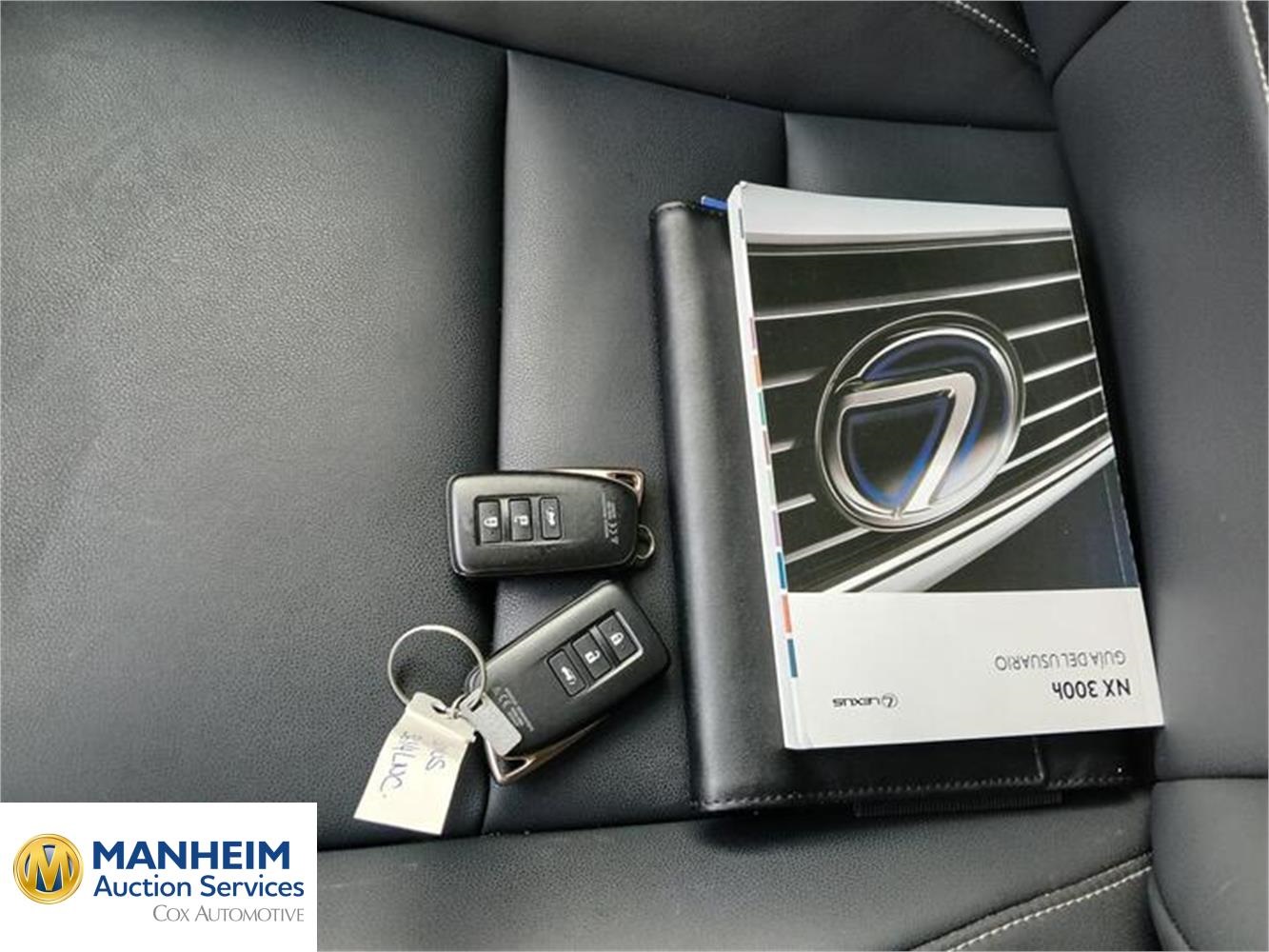 Foto Lexus NX 36