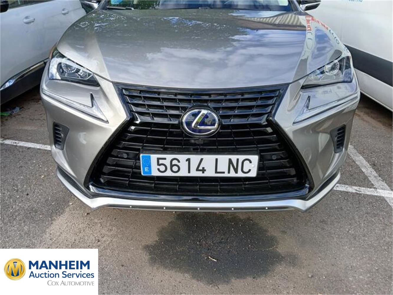 Foto Lexus NX 41
