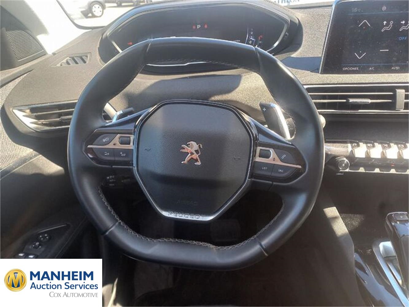 Foto Peugeot 3008 6