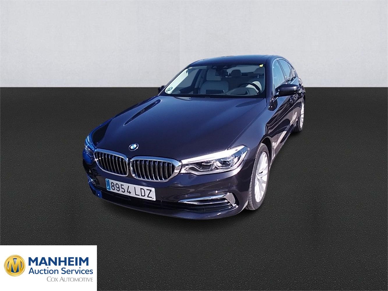 Foto BMW SERIES 5 1