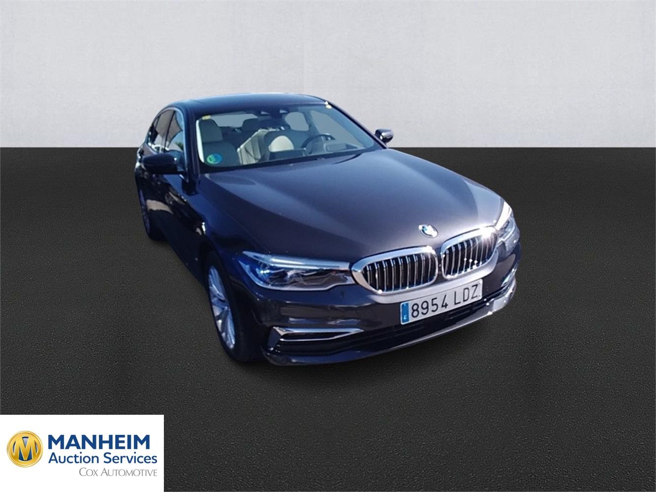 Foto BMW SERIES 5 3
