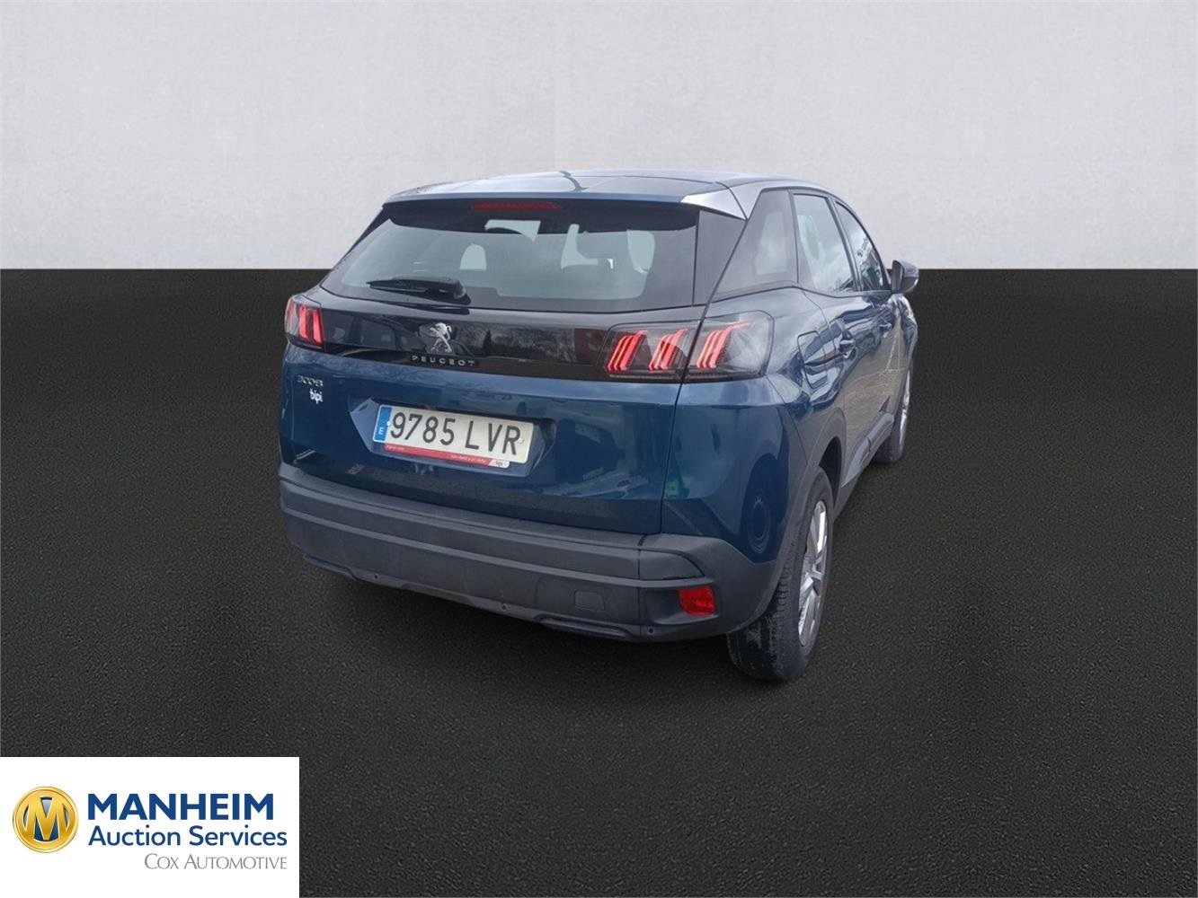 Foto Peugeot 3008 4