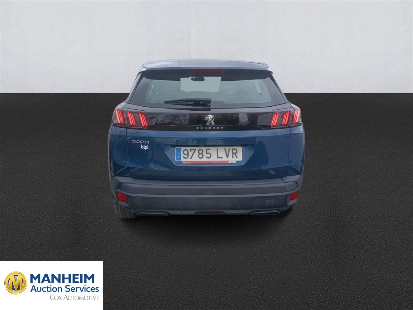 Foto Peugeot 3008 5