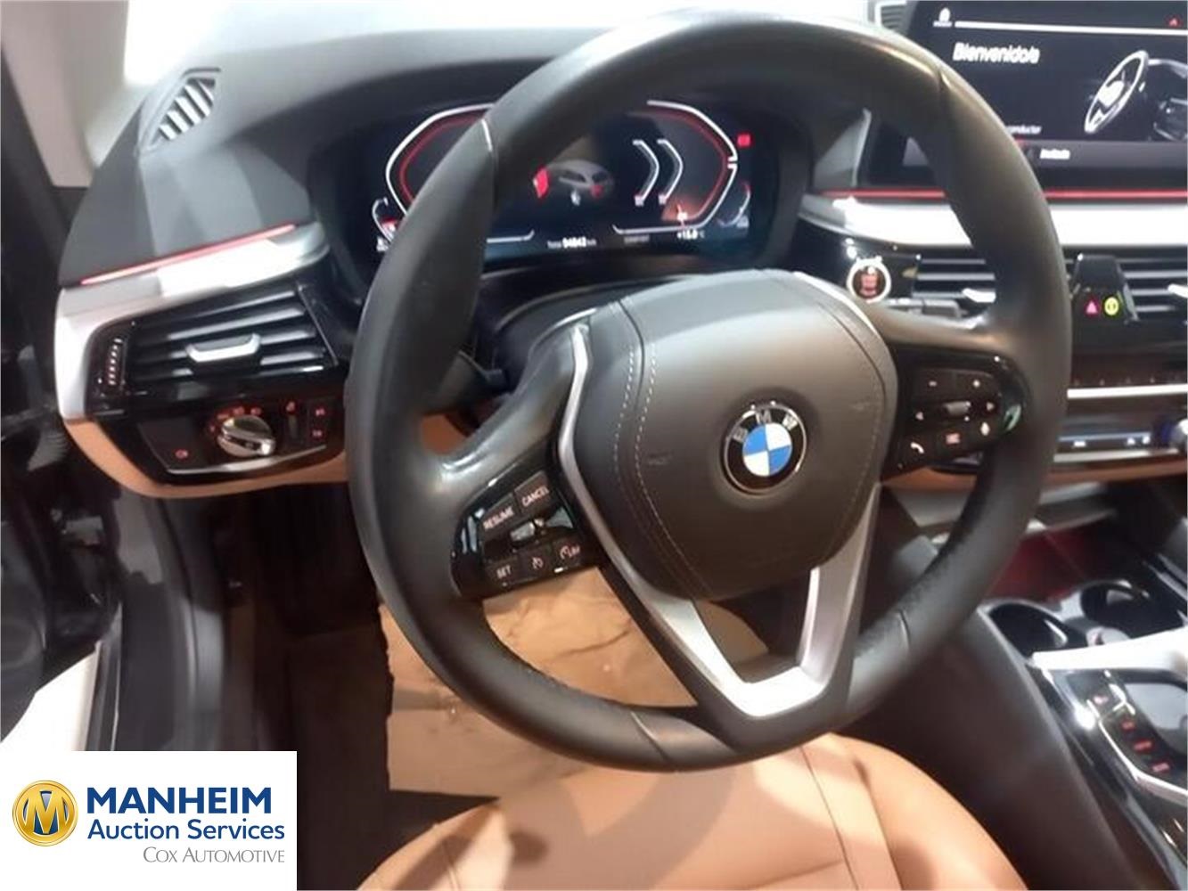 Foto BMW Serie 5 19