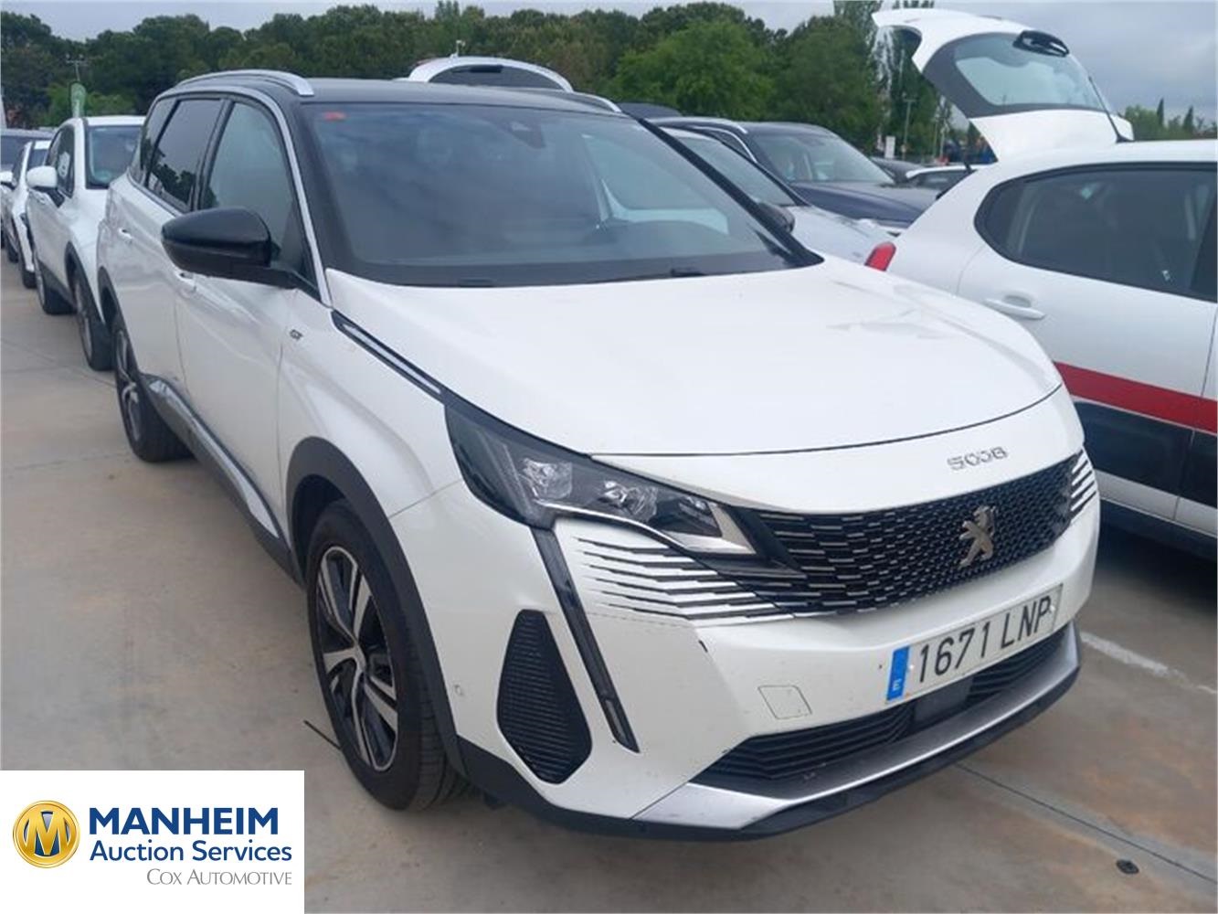 Foto Peugeot 5008 5