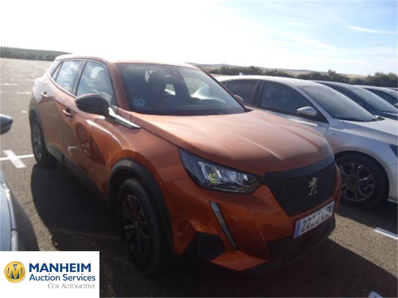 Foto Peugeot 2008 12