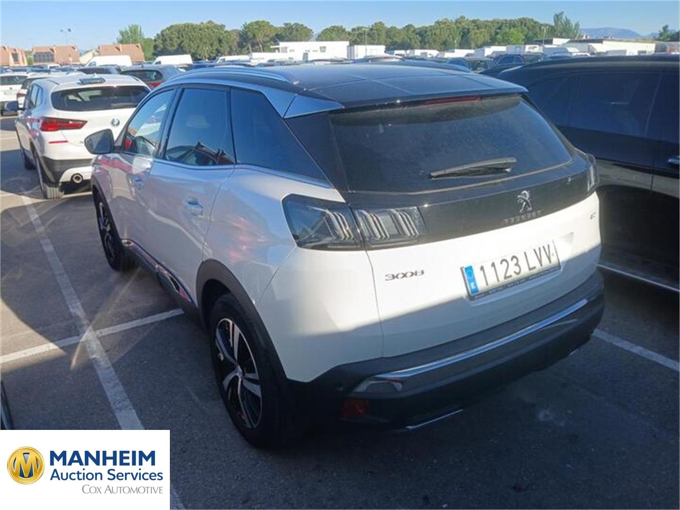 Foto Peugeot 3008 22