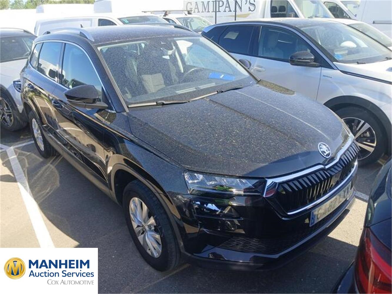 Foto Skoda Karoq 48