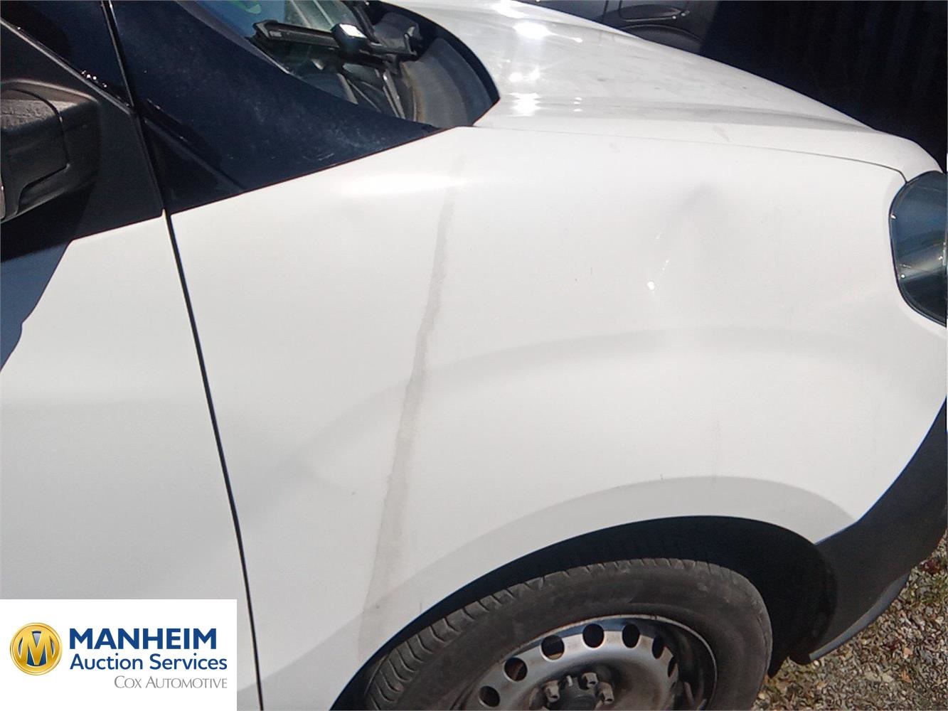 Foto Fiat Doblo Cargo 29