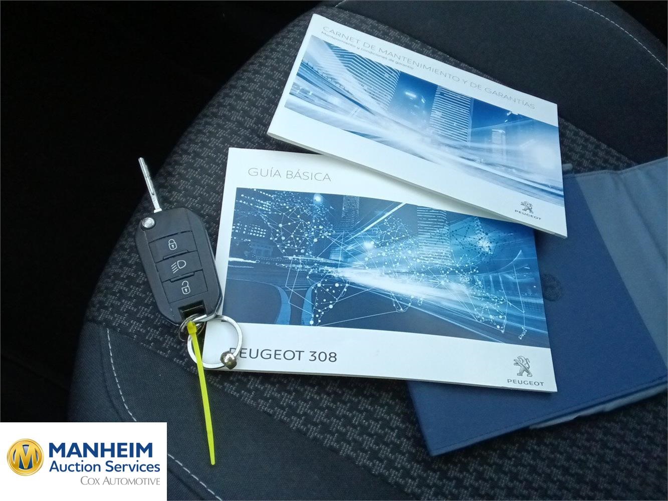 Foto Peugeot 308 12