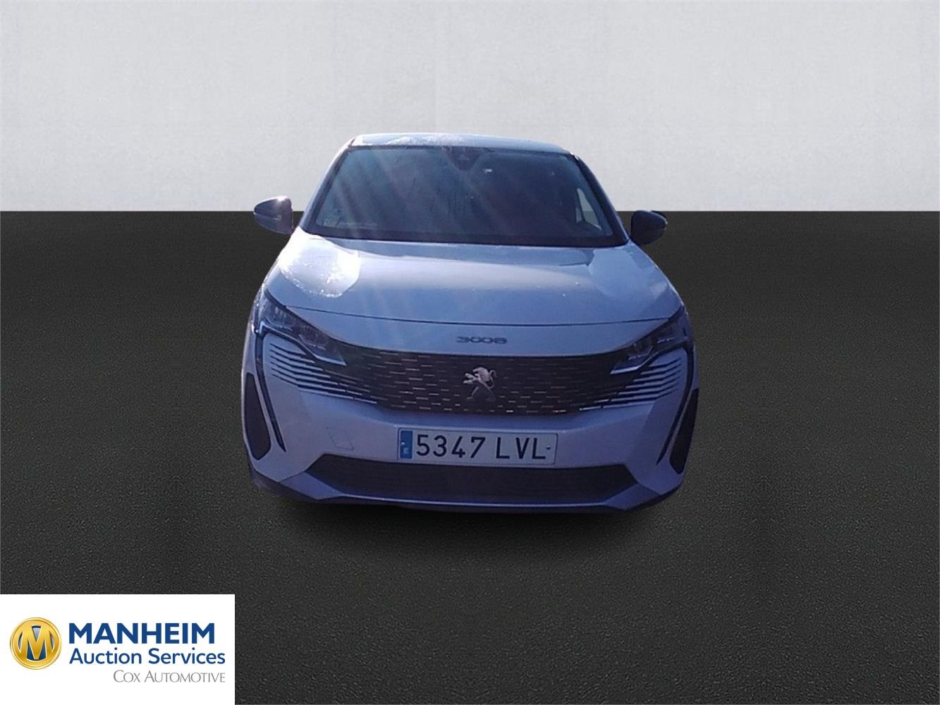 Foto Peugeot 3008 2