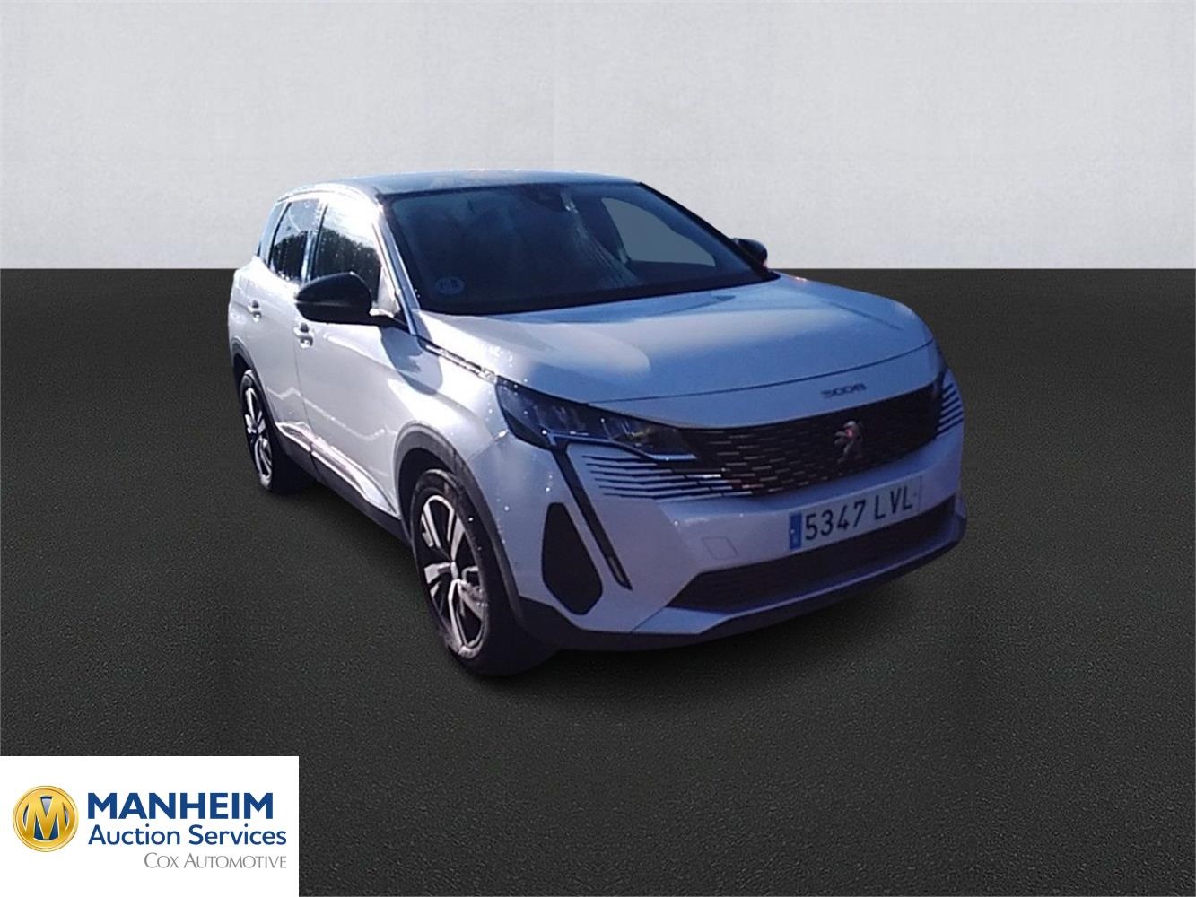 Foto Peugeot 3008 3