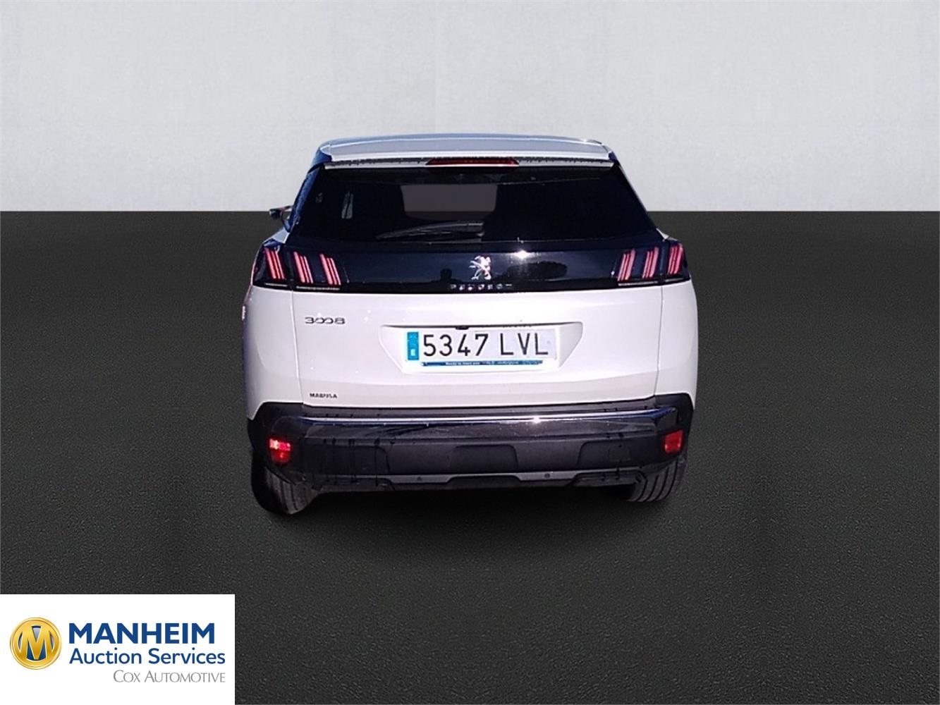 Foto Peugeot 3008 5