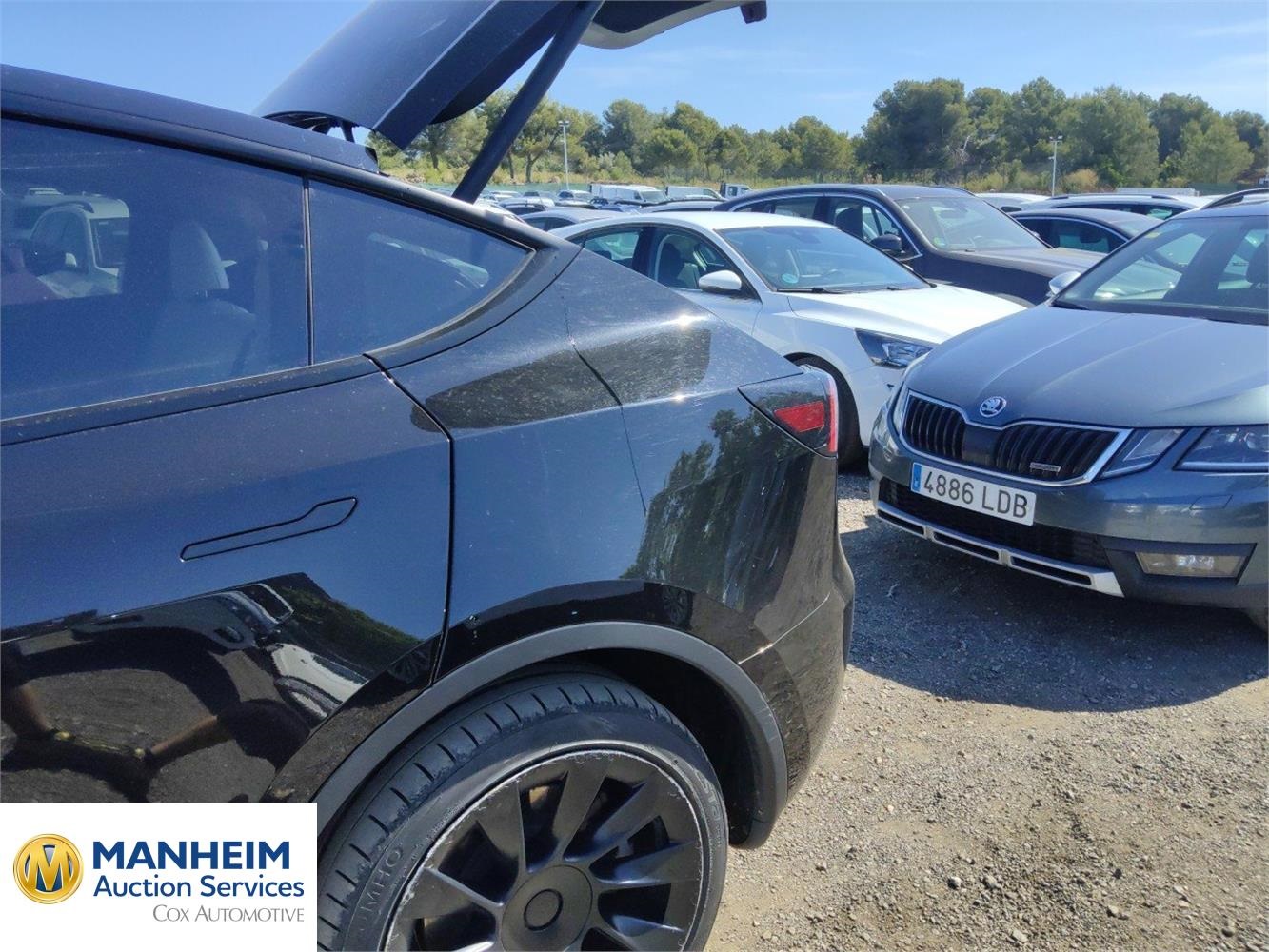 Foto Tesla MODEL Y 35