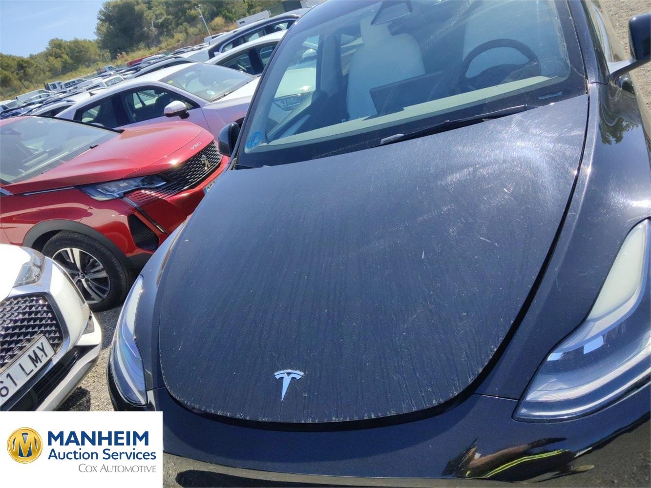 Foto Tesla MODEL Y 56