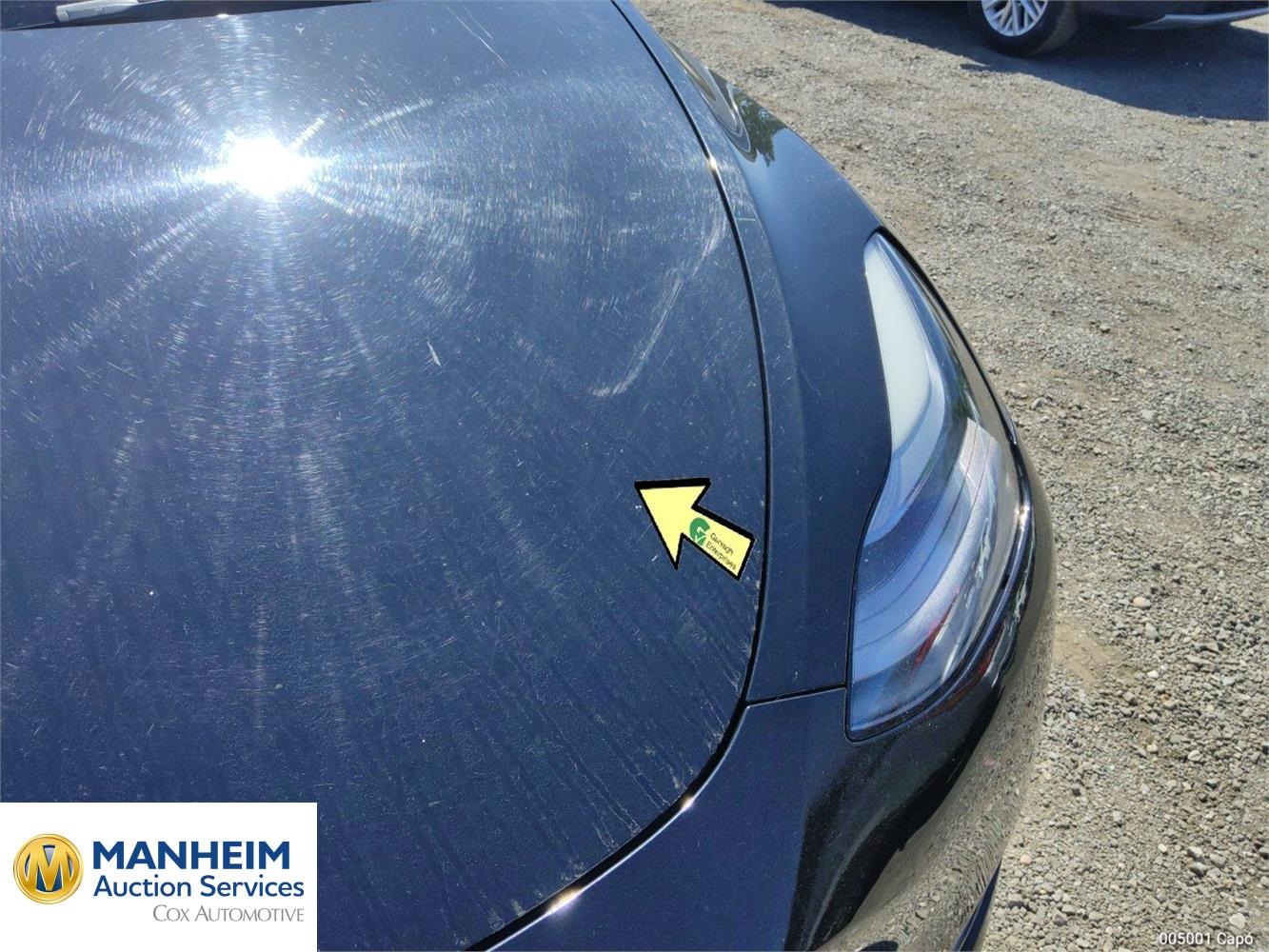 Foto Tesla MODEL Y 99
