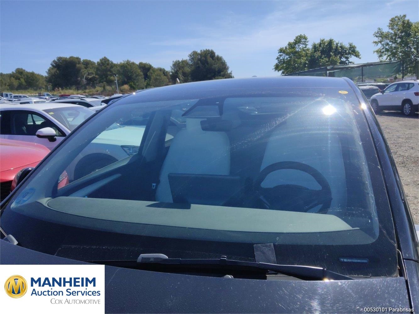 Foto Tesla MODEL Y 174