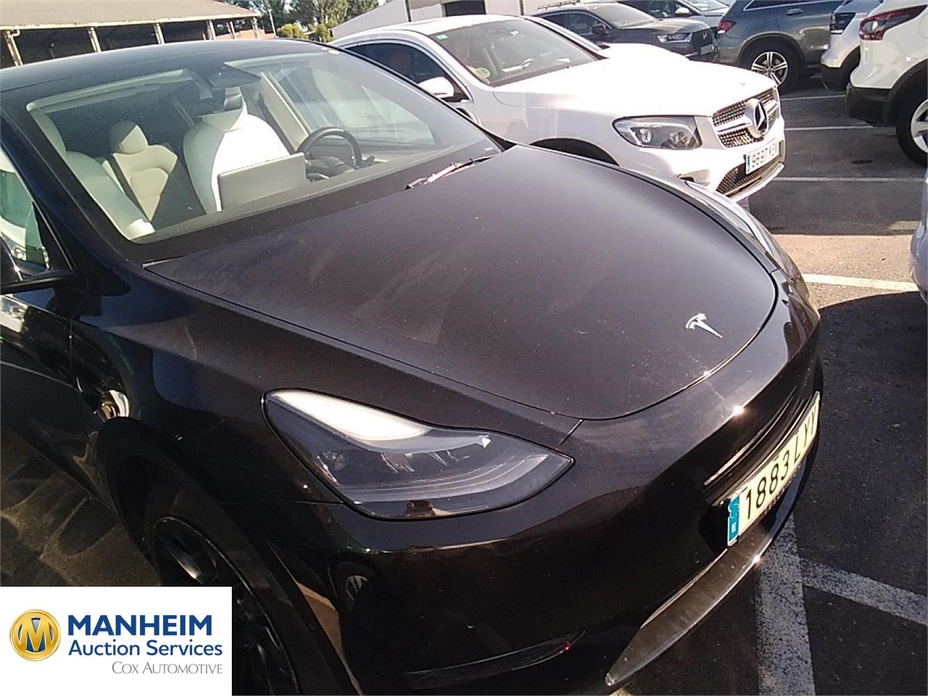 Foto Tesla MODEL Y 21