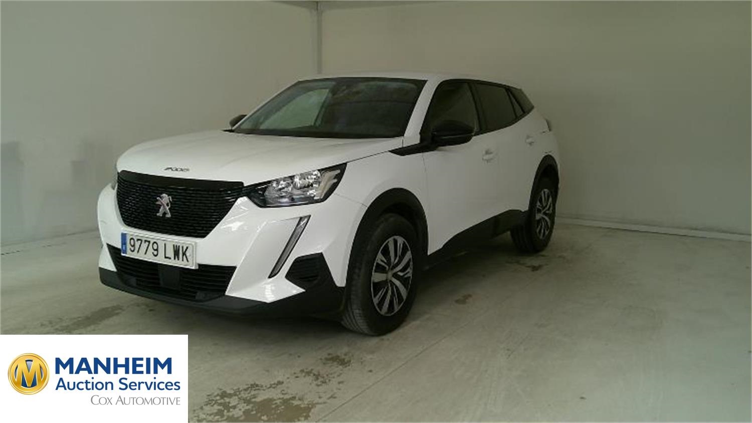 Peugeot 2008 2008 ACTIVE BLUEHDI 81KW (110CV)
